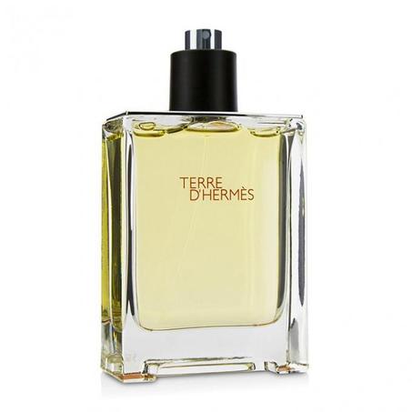 TERRE D’HERMÈS EDP 100 ML POUR HOMME
