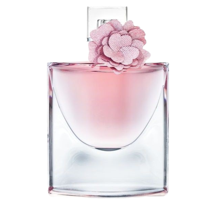 Lancôme – La Vie Est Belle Eau de Parfum (100ml)